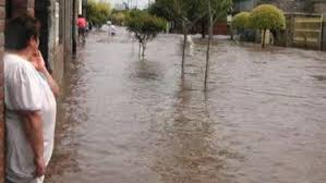 images (7)