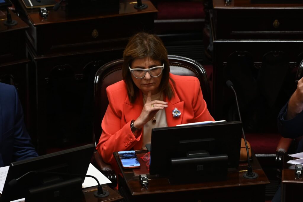 el-particular-video-que-publico-patricia-bullrich-tras-la-media-sancion-de-la-reforma-laboral-scaled-1
