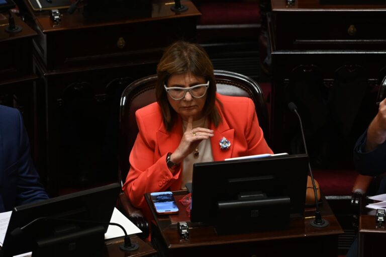 el-particular-video-que-publico-patricia-bullrich-tras-la-media-sancion-de-la-reforma-laboral-scaled-1